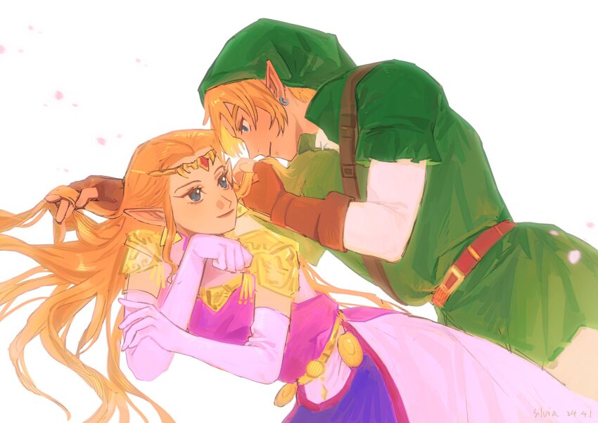 Link (Nintendo) Rule 34 Image
