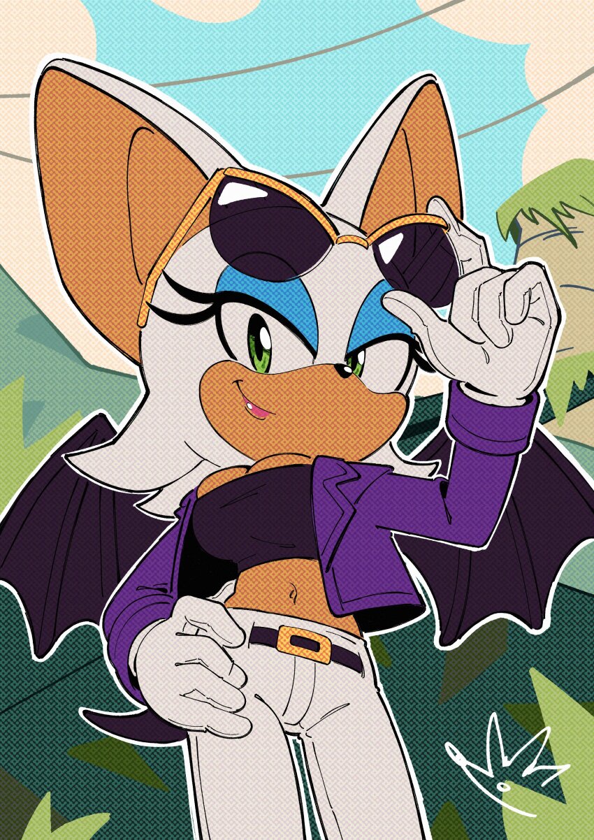 Rouge The Bat (Sonic (Series)) Rule 34 Image