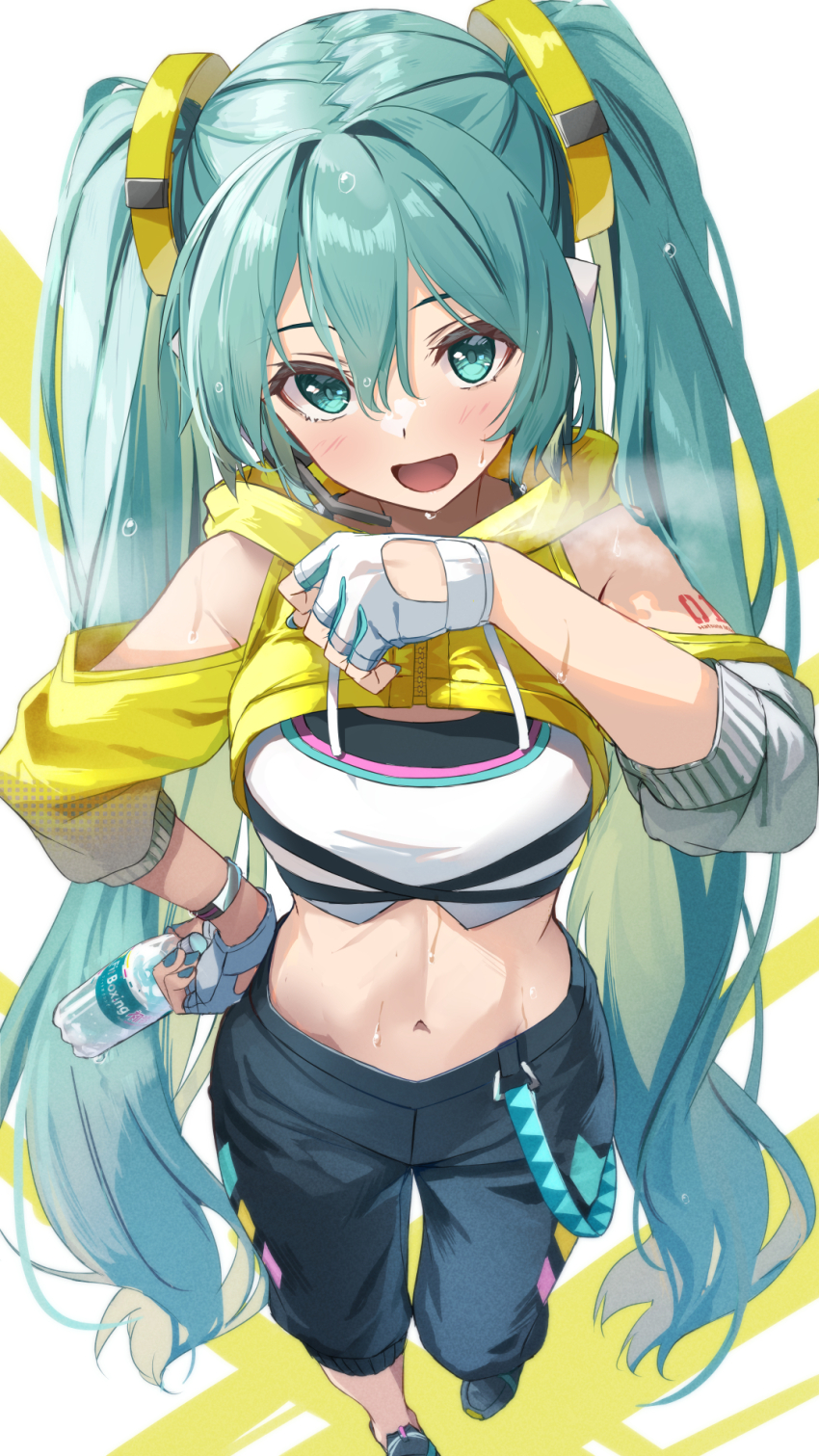 Hatsune Miku (Vocaloid) Rule 34 Image