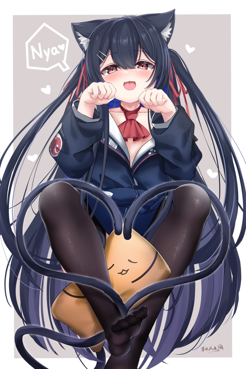 Nyan Rule 34 Image