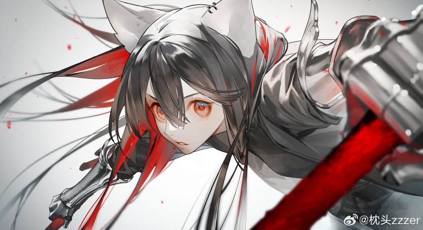 Texas (Arknights) Rule 34 Image