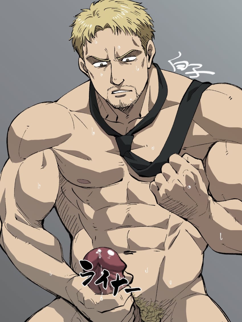 Reiner Braun (Attack On Titan) Rule 34 Image