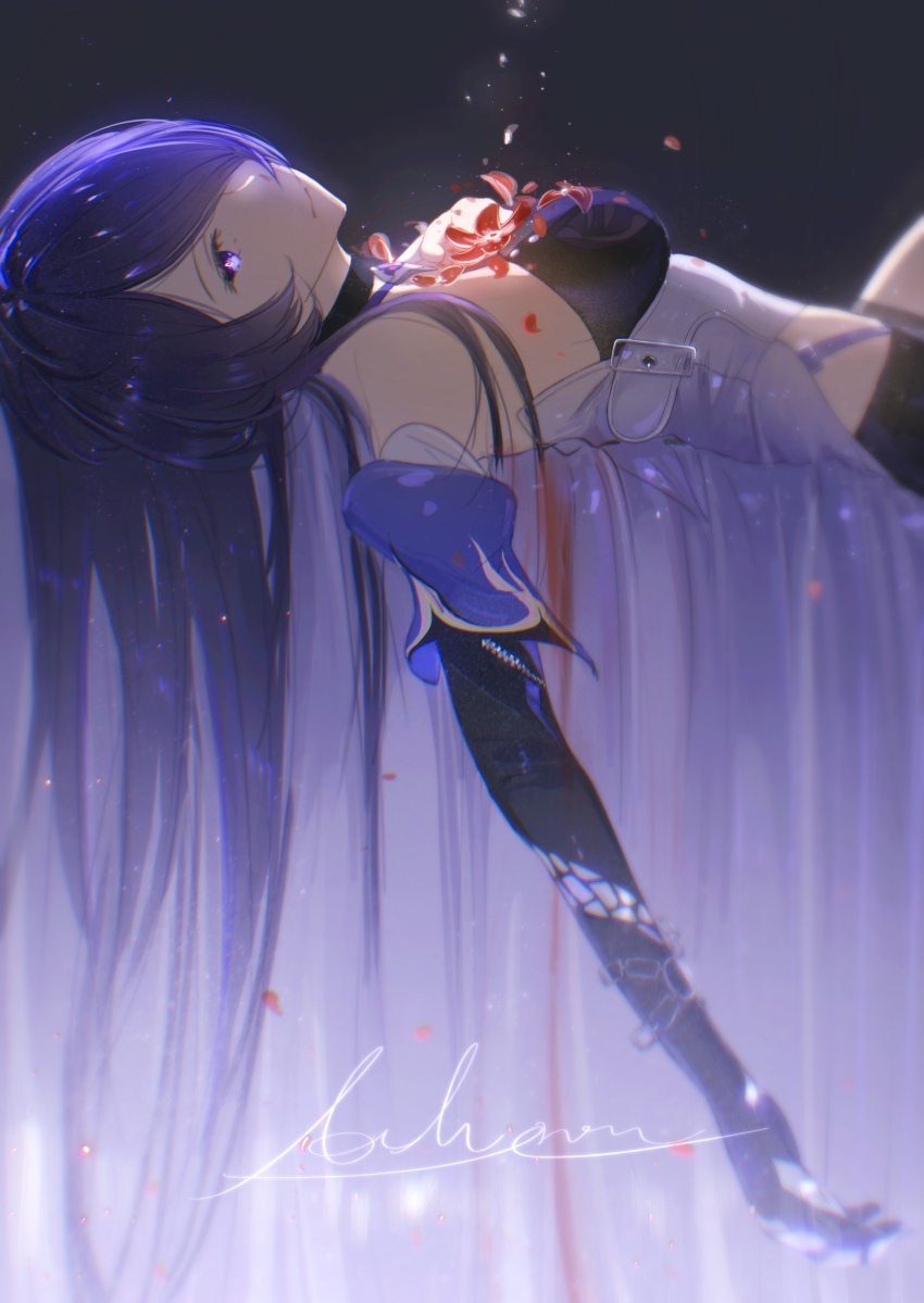 Acheron (Honkai: Star Rail) Rule 34 Image
