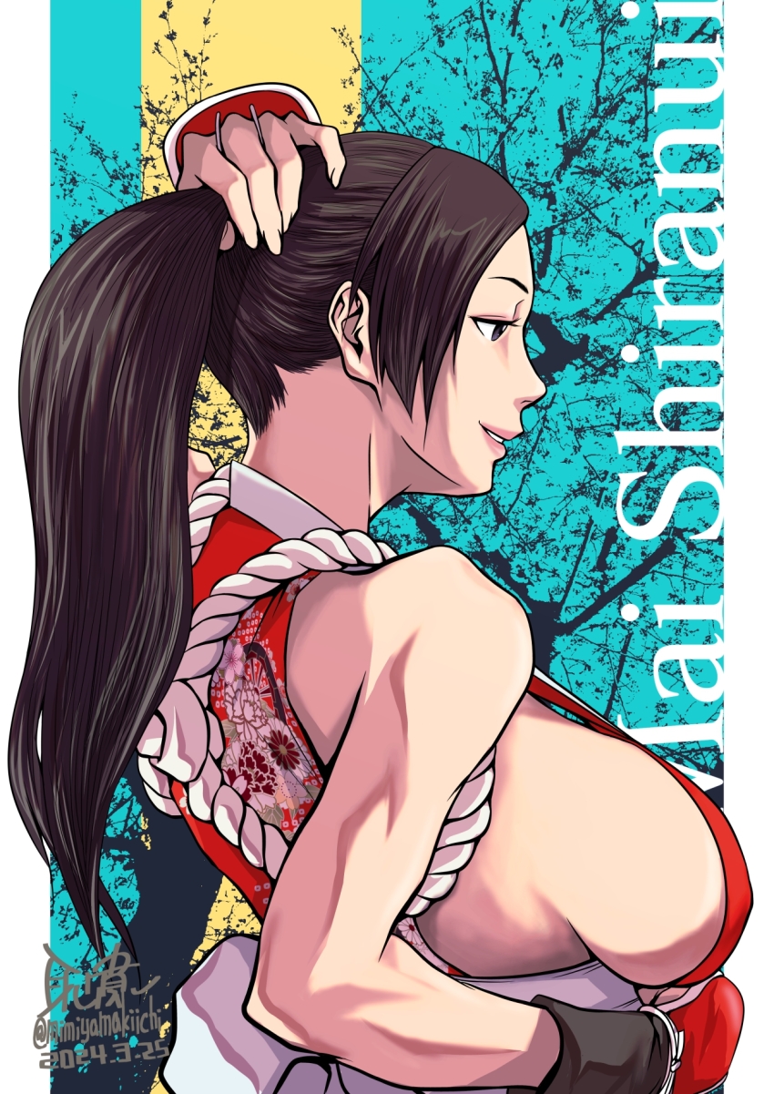 Fatal Fury Rule 34 Image