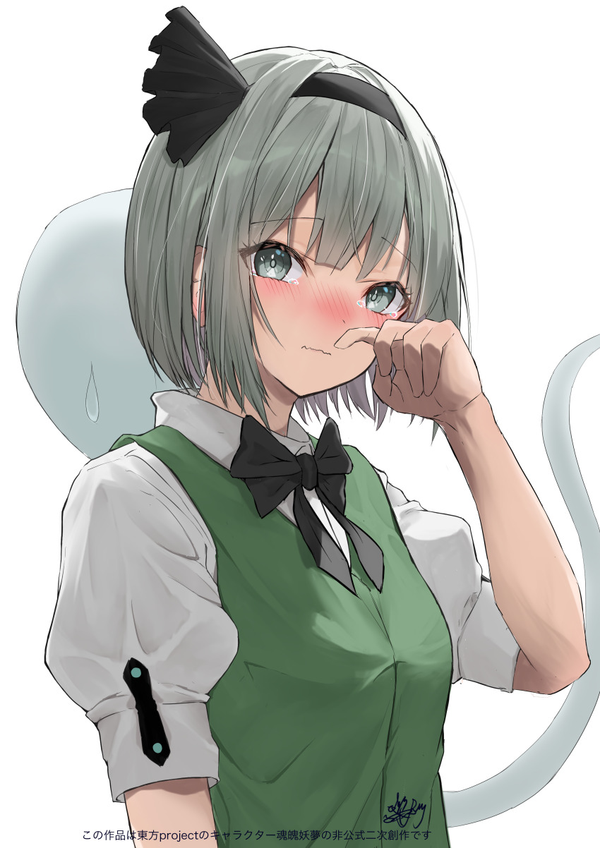 Konpaku Youmu (Touhou) Rule 34 Image