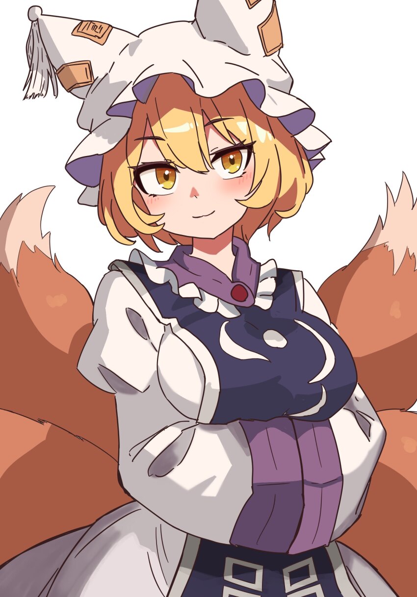Yakumo Ran (Touhou) Rule 34 Image