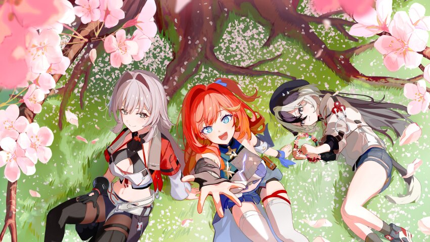 Senadina (Honkai (Series)) Rule 34 Image