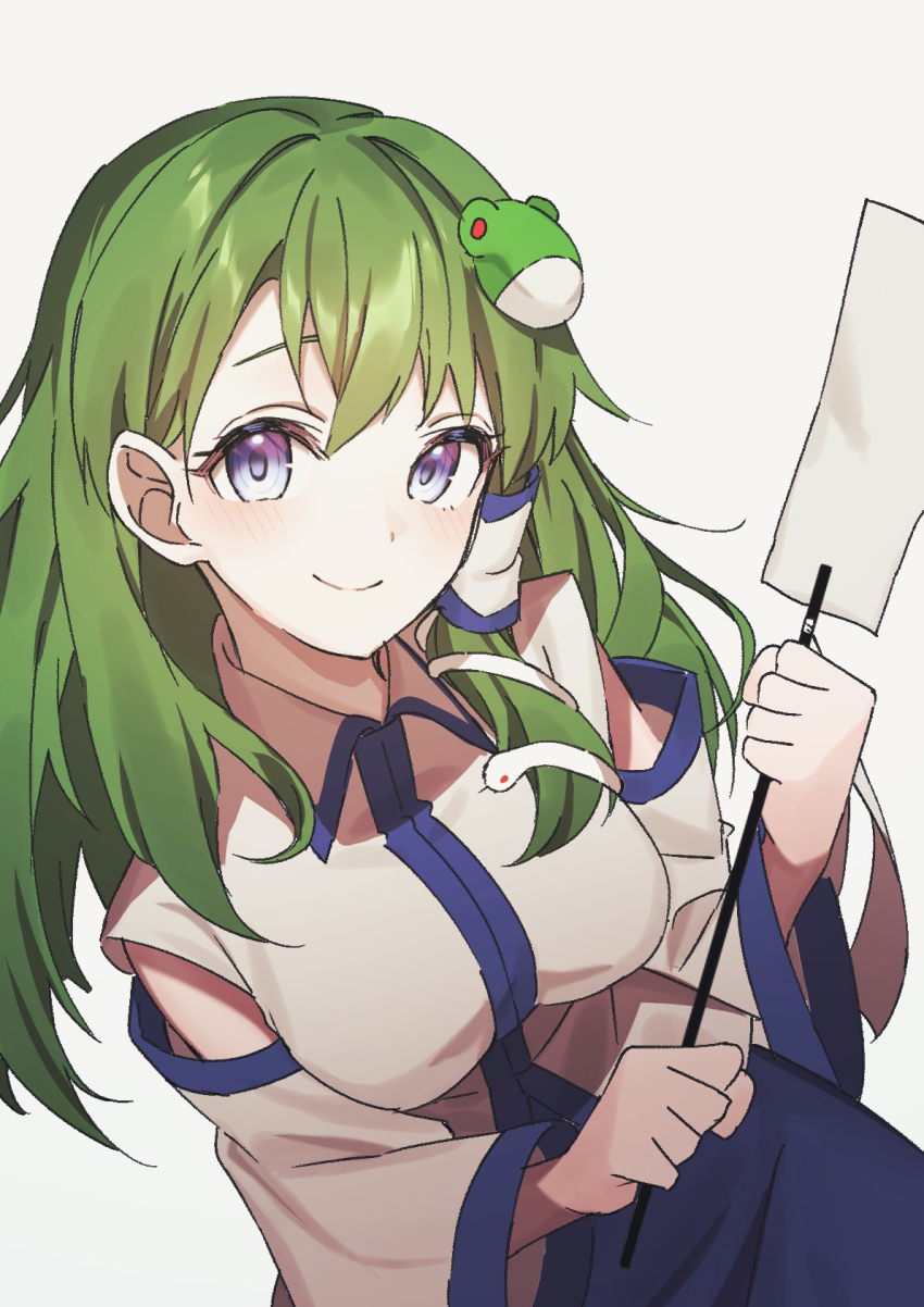 Kochiya Sanae (Touhou) Rule 34 Image