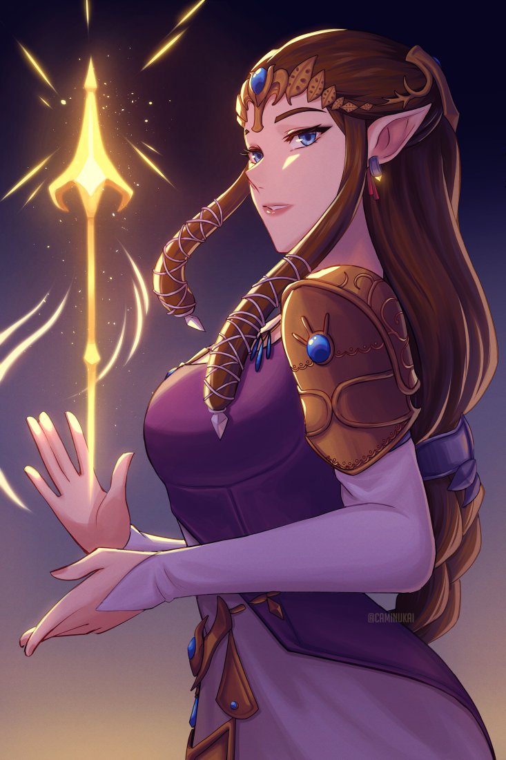 Princess Zelda (Nintendo) Rule 34 Image