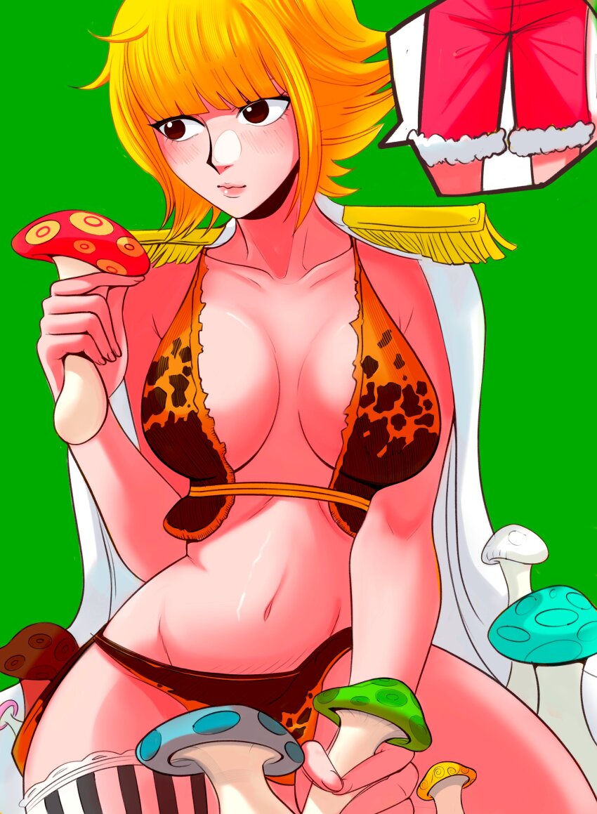 Marguerite (One Piece) Rule 34 Image