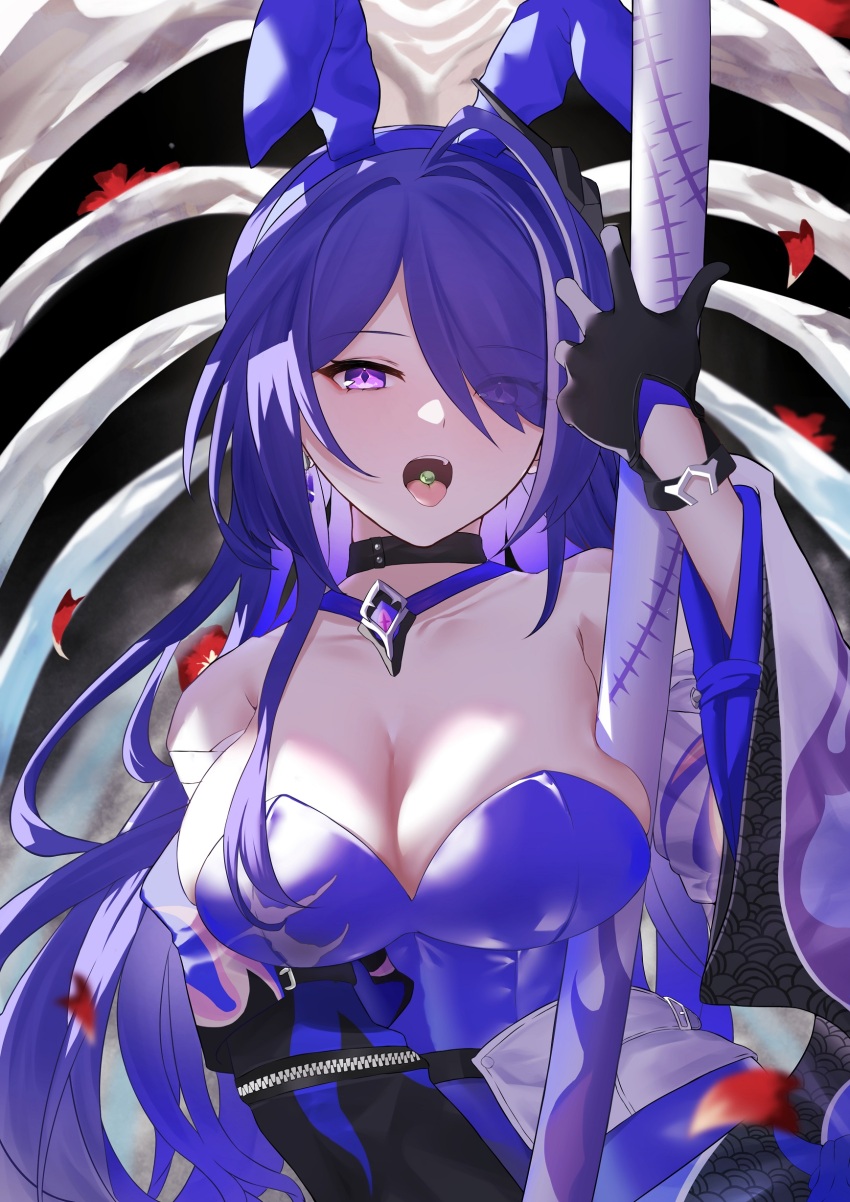 Acheron (Honkai: Star Rail) Rule 34 Image
