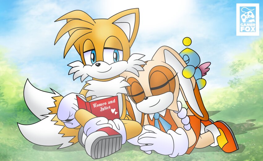 Cream The Rabbit (Sonic (Series)) Rule 34 Image