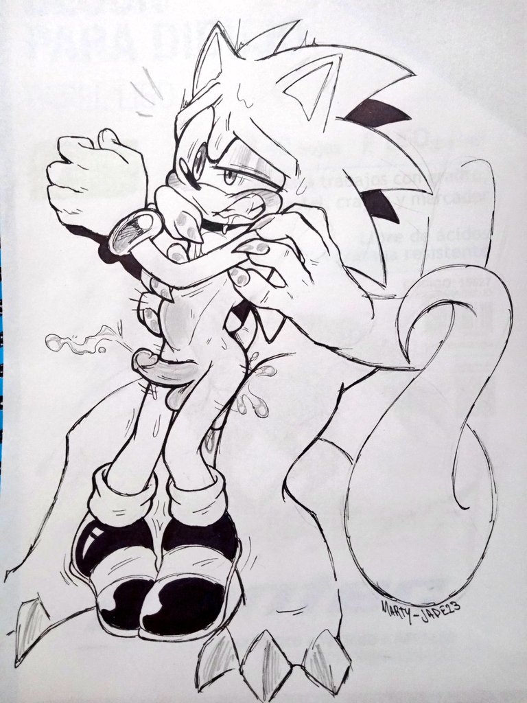 Sonic The Hedgehog (Sega) Rule 34 Image
