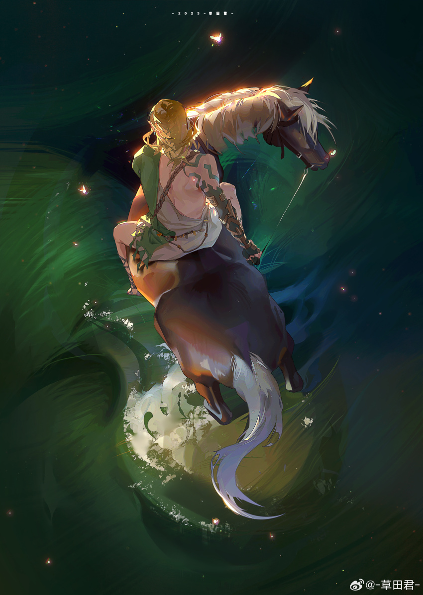 Link (Nintendo) Rule 34 Image