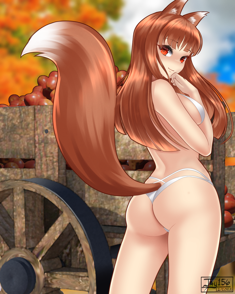Holo (Spice And Wolf) Rule 34 Image
