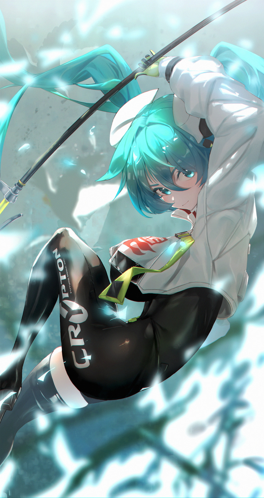 Hatsune Miku (Goodsmile Company) Rule 34 Image