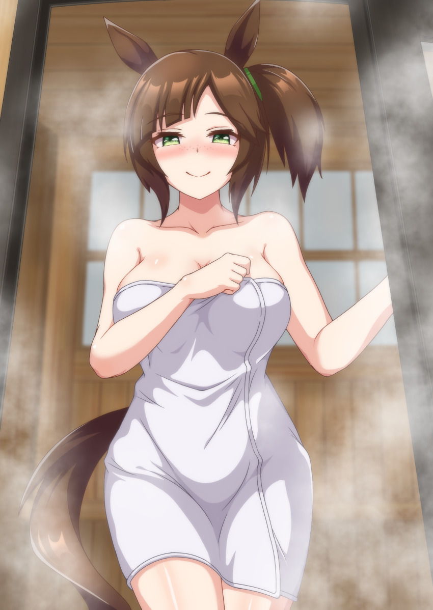 Ines Fujin (Umamusume) Rule 34 Image