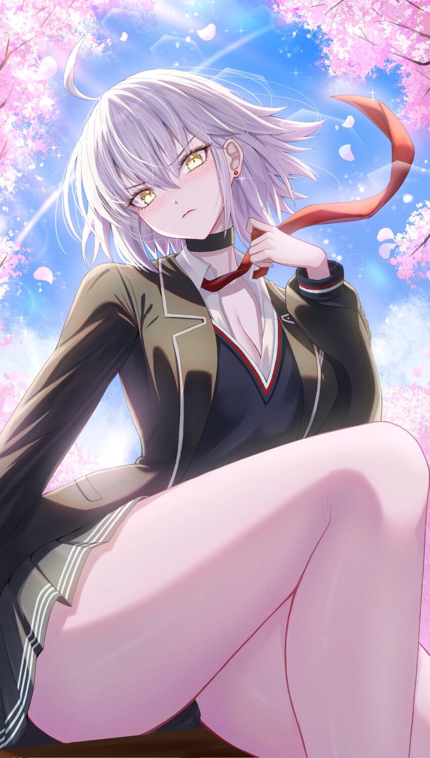 Jeanne D'Arc Alter (Avenger) (Fate) Rule 34 Image