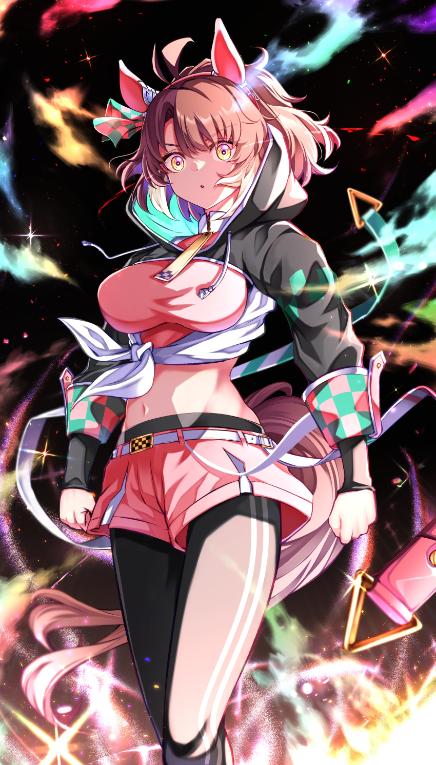 Dantsu Flame (Center Spotlight) (Umamusume) Rule 34 Image