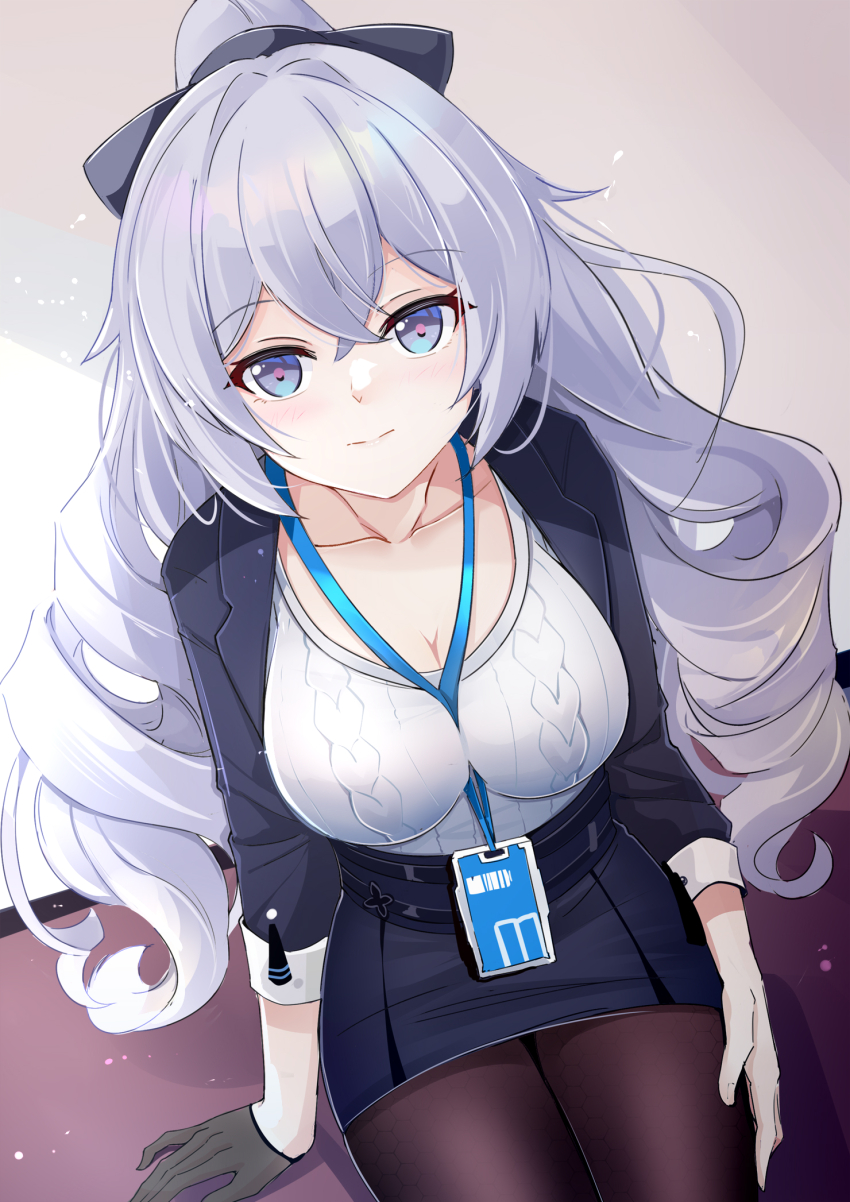 Bronya Zaychik (Honkai (Series)) Rule 34 Image