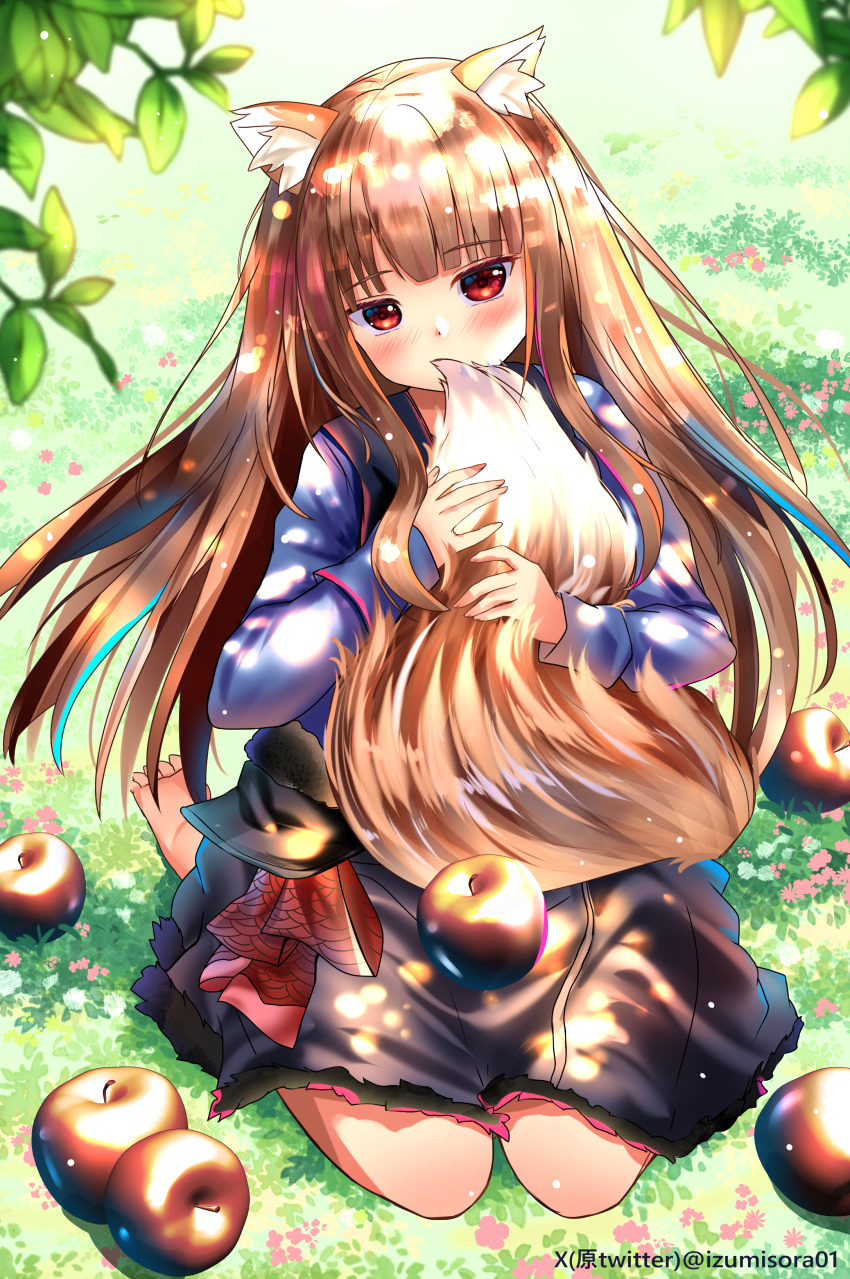Holo (Spice And Wolf) Rule 34 Image