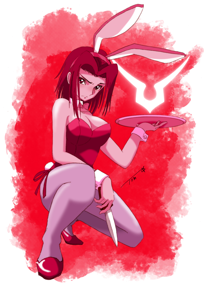 Kouzuki Kallen (Code Geass) Rule 34 Image