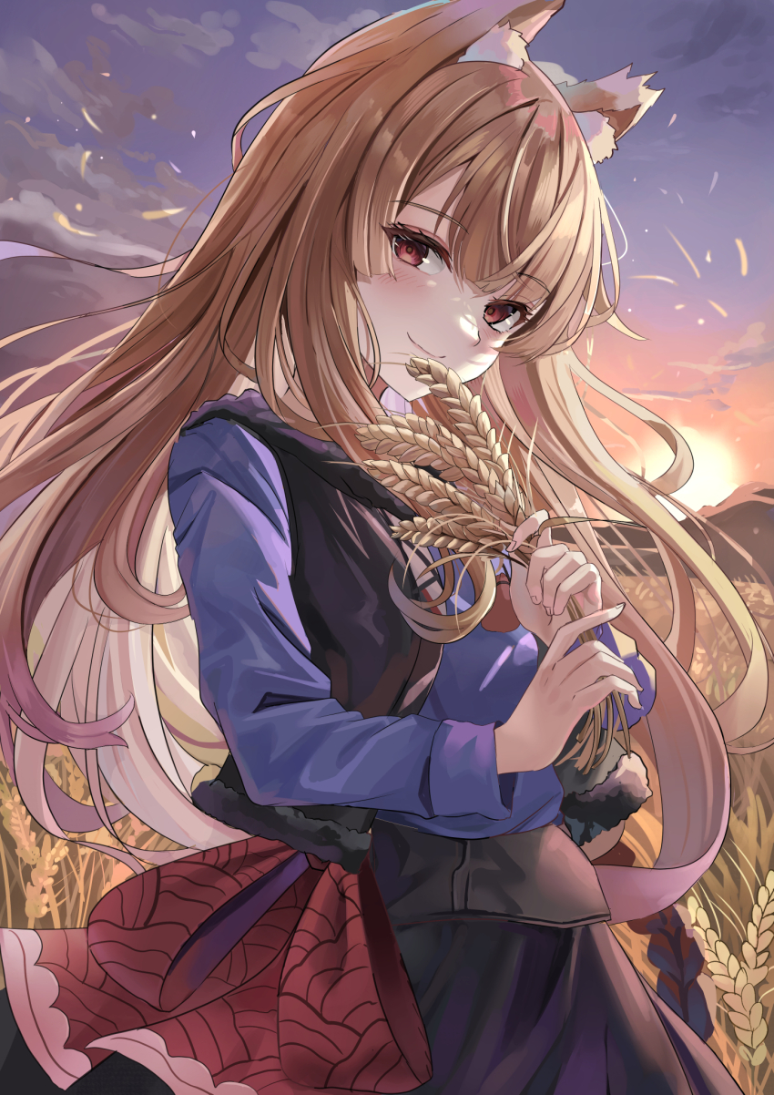 Holo (Spice And Wolf) Rule 34 Image