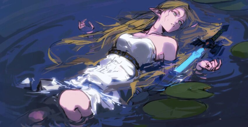 Princess Zelda (Nintendo) Rule 34 Image