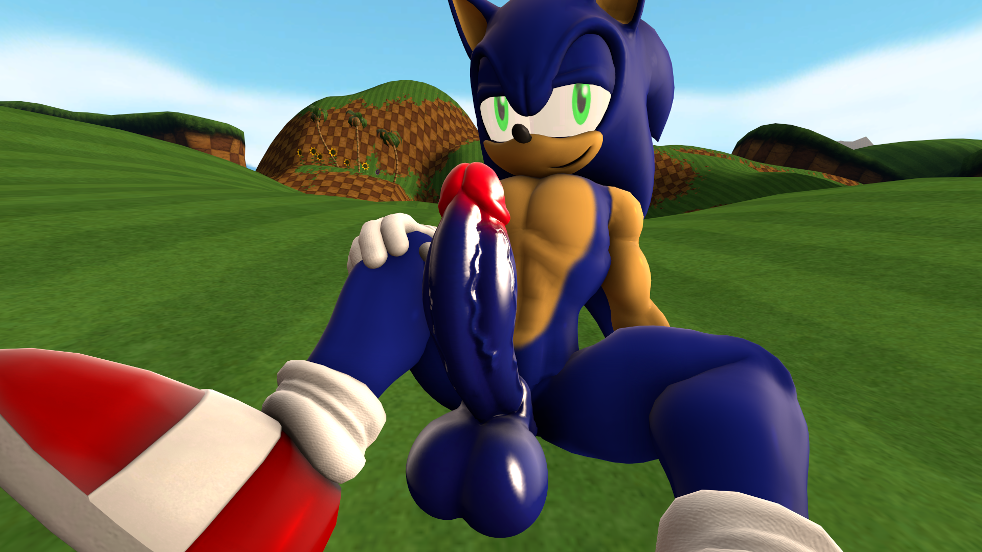 Sonic The Hedgehog (Sonic (Series)) Rule 34 Image