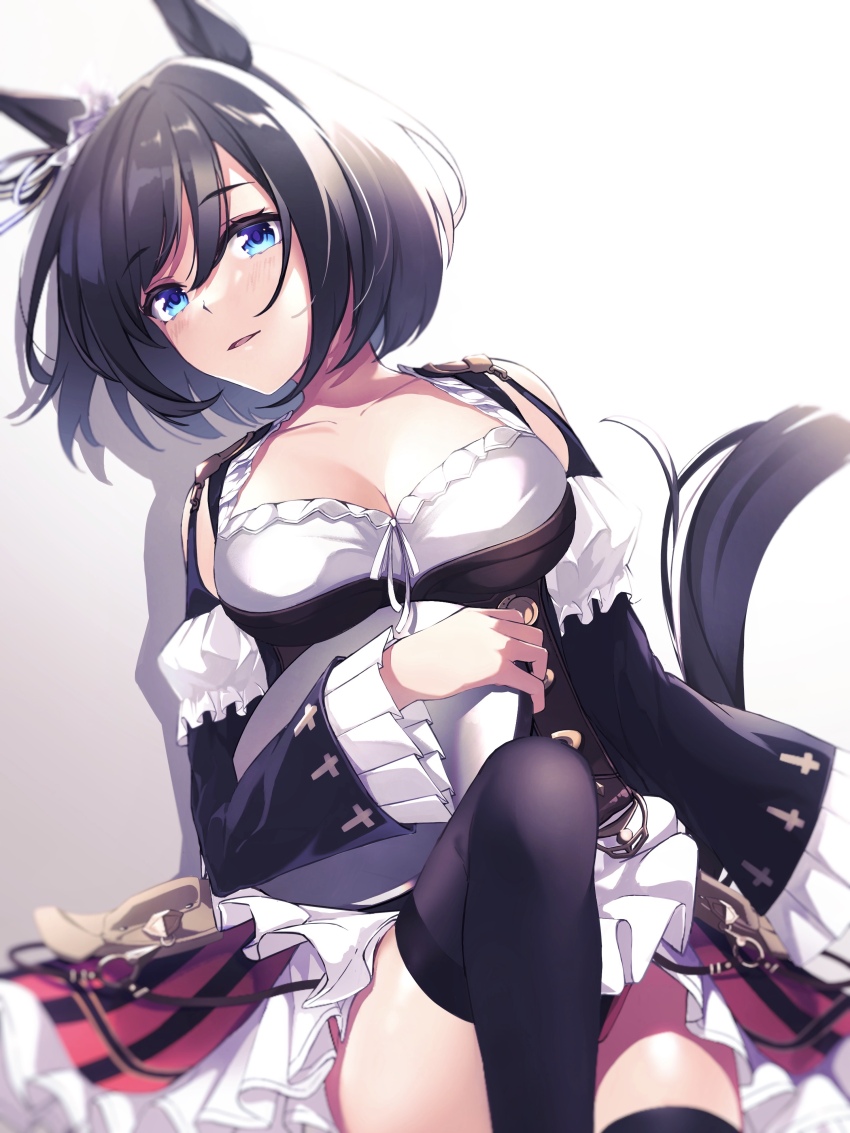 Eishin Flash (Umamusume) Rule 34 Image
