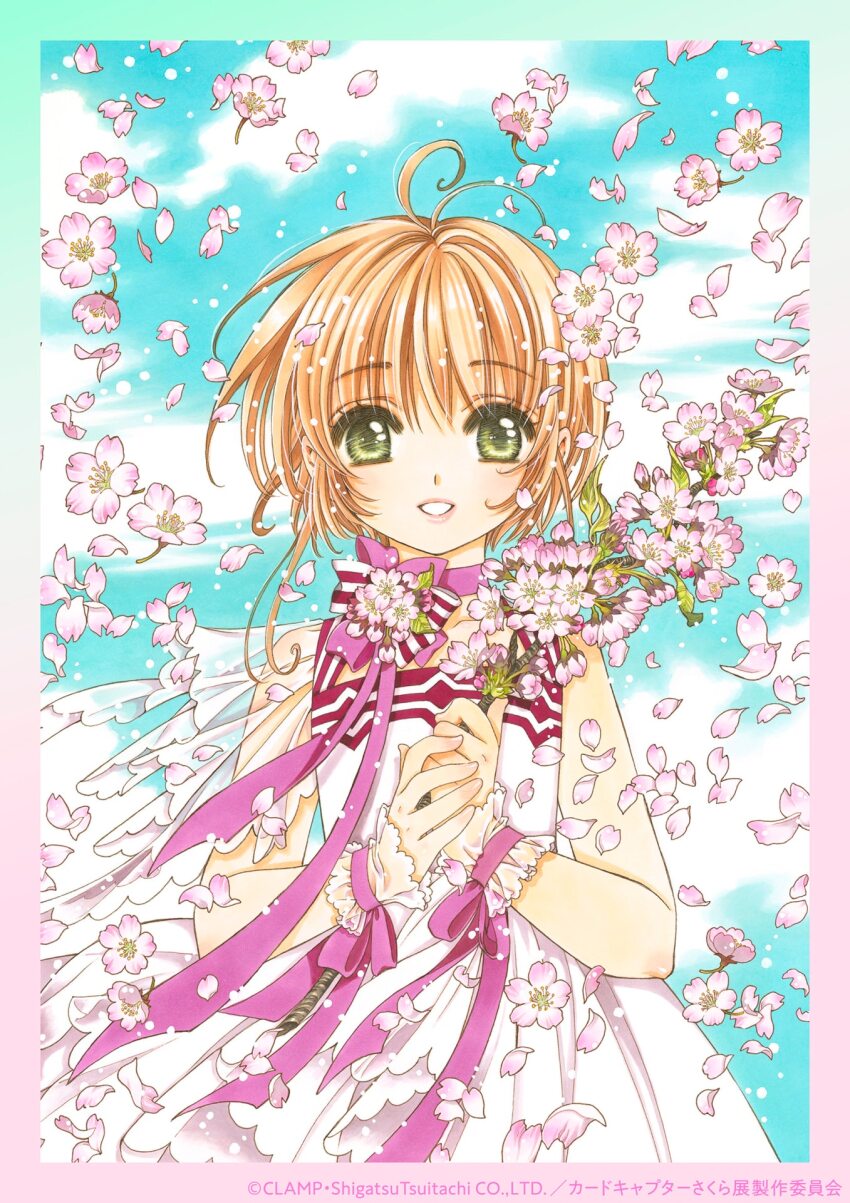 Kinomoto Sakura (Cardcaptor Sakura) Rule 34 Image
