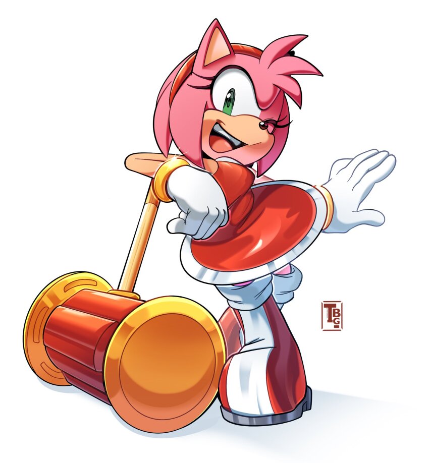 Amy Rose (Sonic (Series)) Rule 34 Image