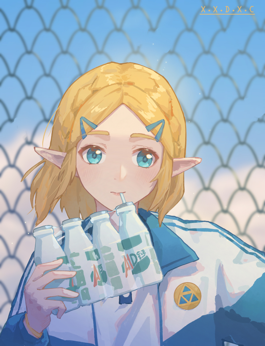 Princess Zelda (Nintendo) Rule 34 Image