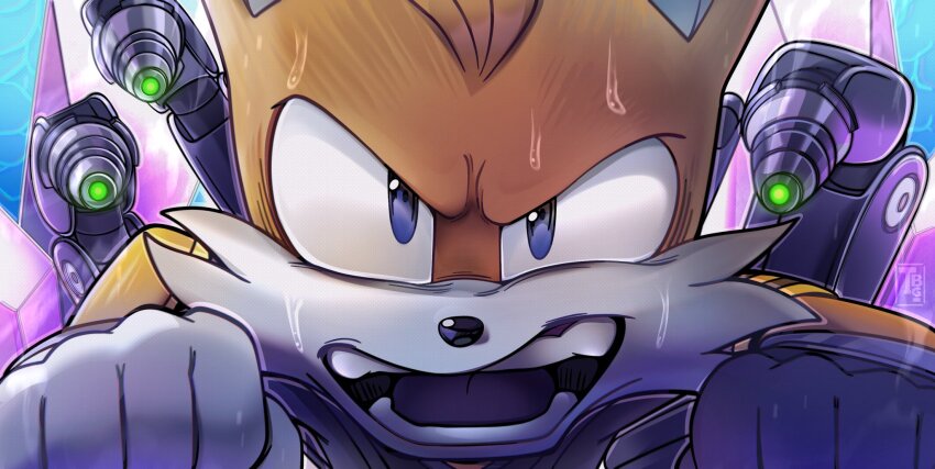 Sonic (Series) Rule 34 Image