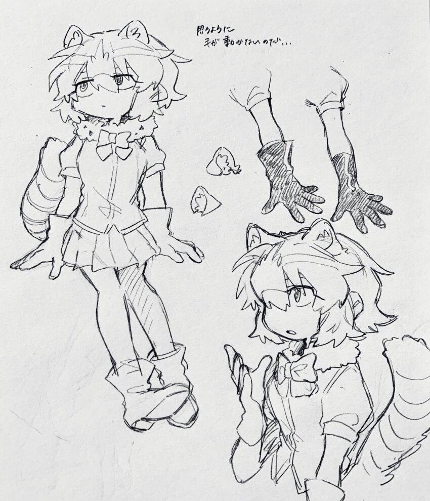 Common Raccoon (Kemono Friends) Rule 34 Image