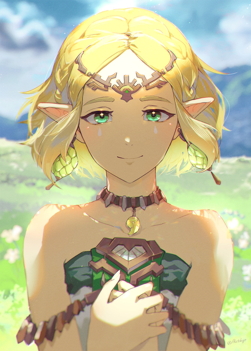 Princess Zelda (Nintendo) Rule 34 Image
