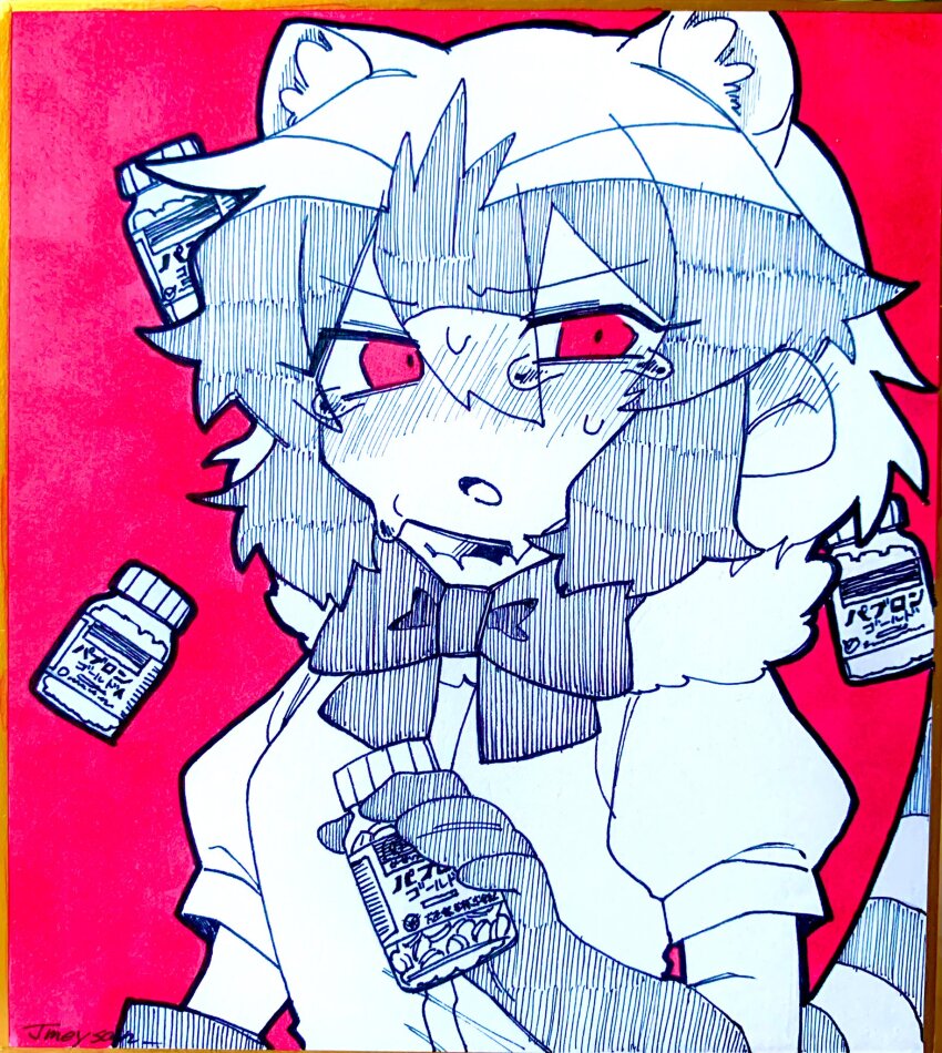 Common Raccoon (Kemono Friends) Rule 34 Image
