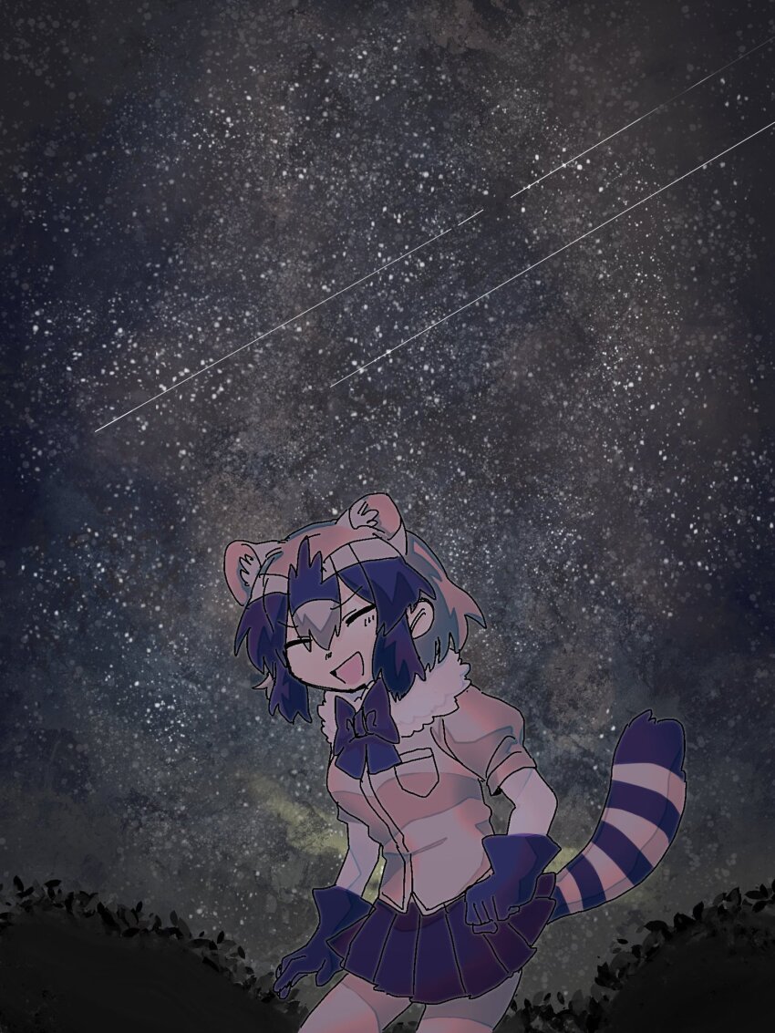 Common Raccoon (Kemono Friends) Rule 34 Image