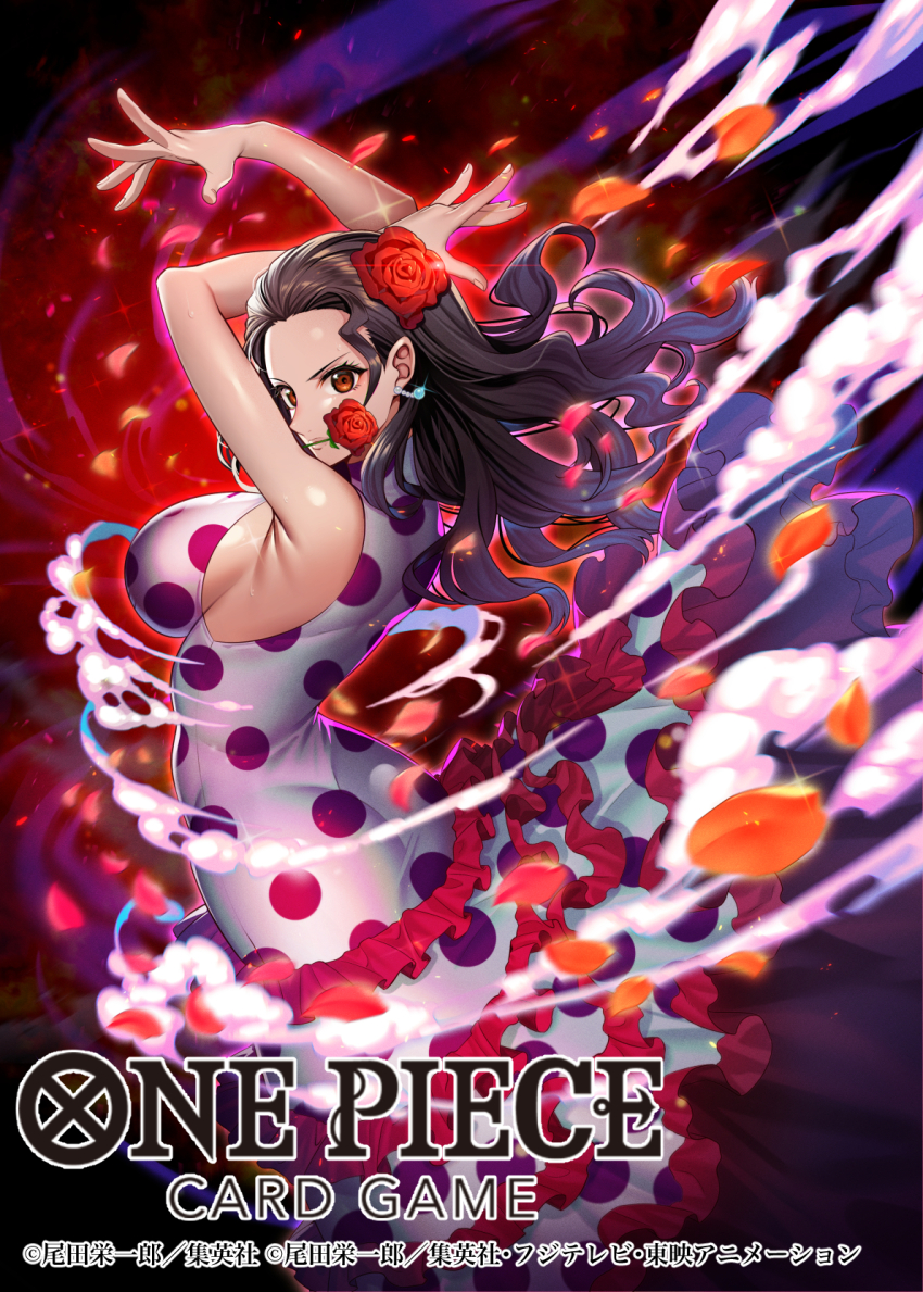 Viola (One Piece) Rule 34 Image