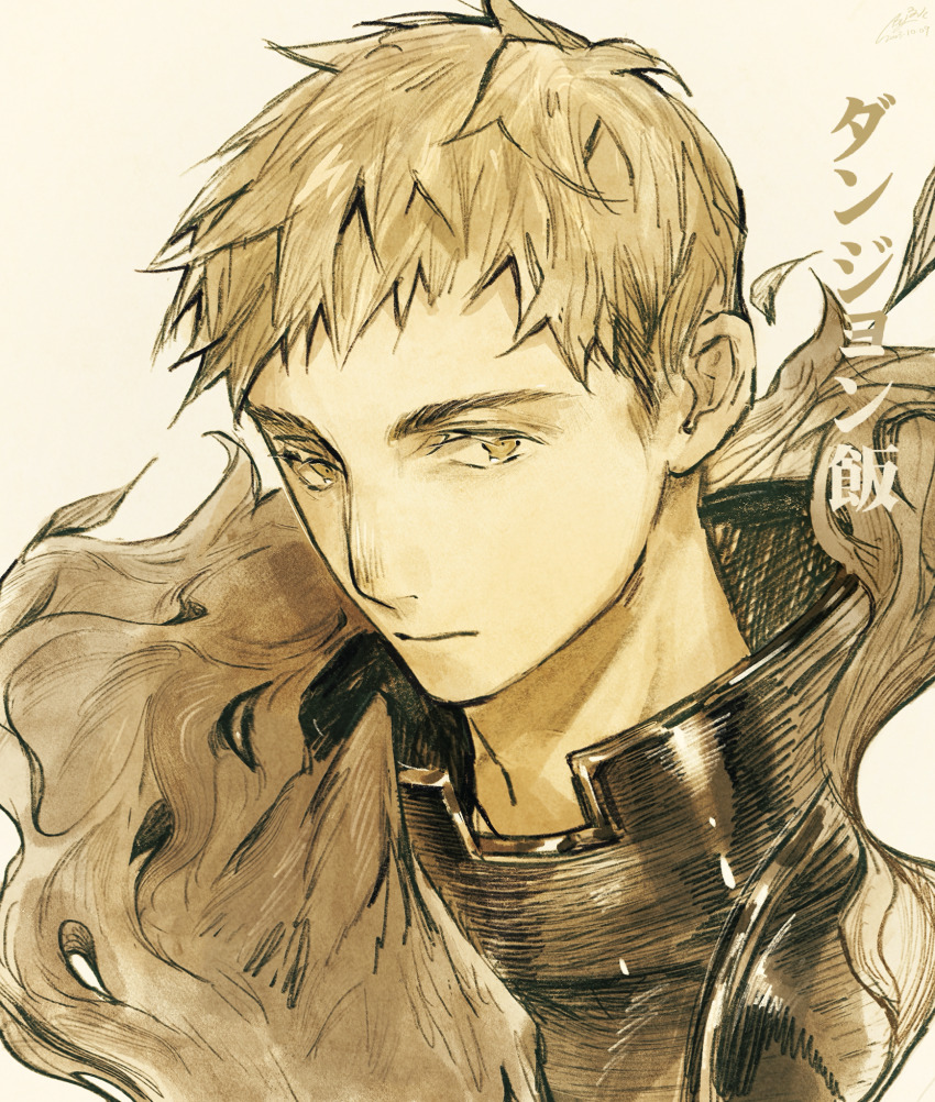 Laios Touden (Dungeon Meshi) Rule 34 Image