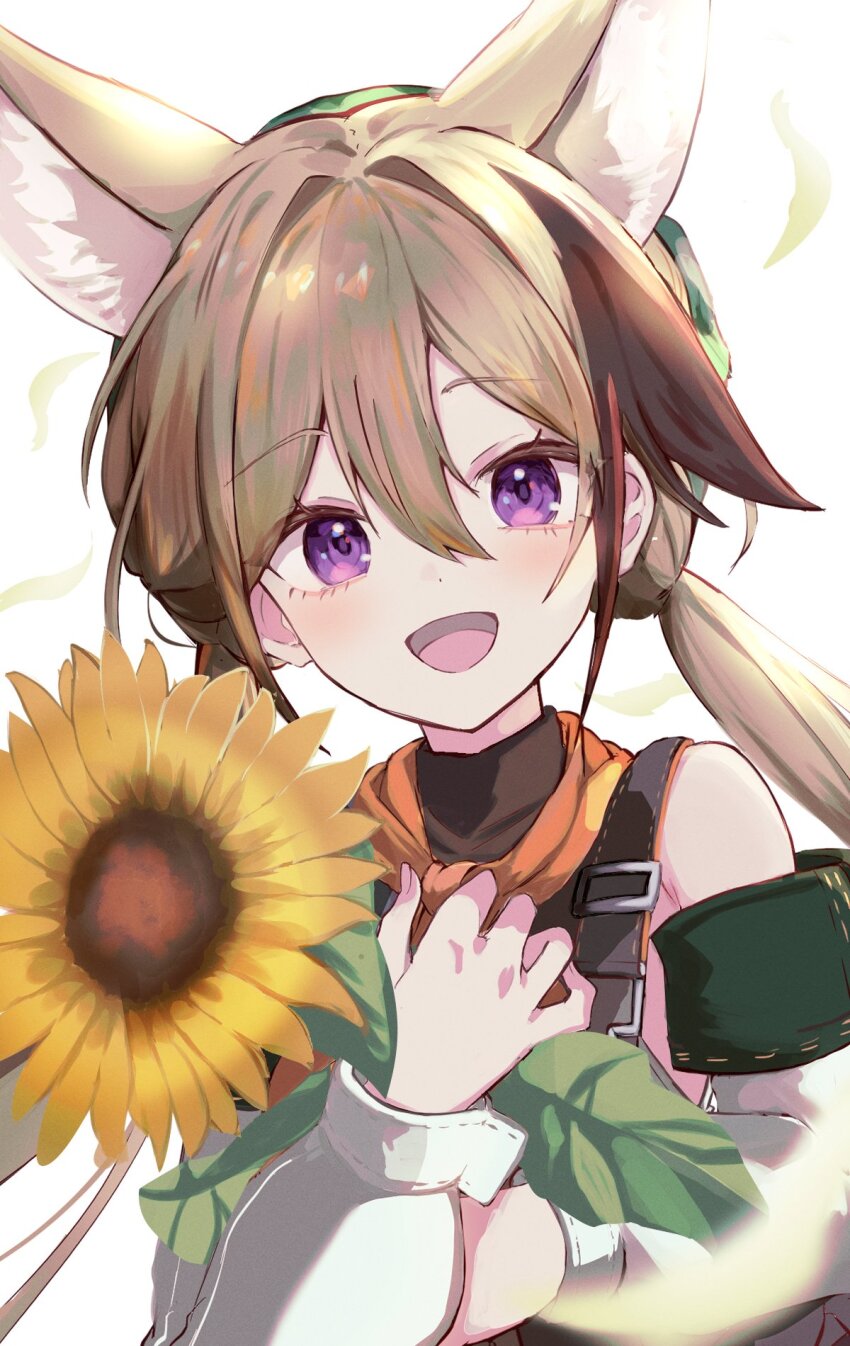Cardigan (Arknights) Rule 34 Image
