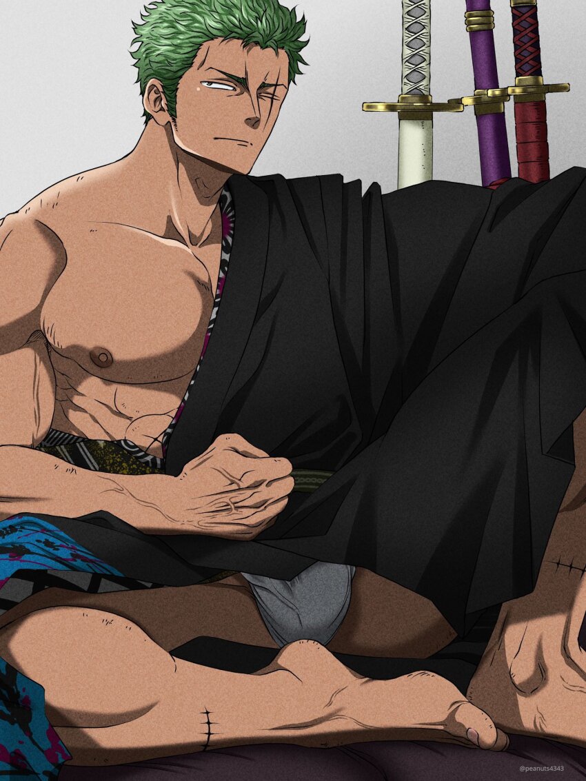Roronoa Zoro (One Piece) Rule 34 Image