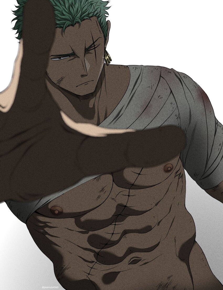 Roronoa Zoro (One Piece) Rule 34 Image