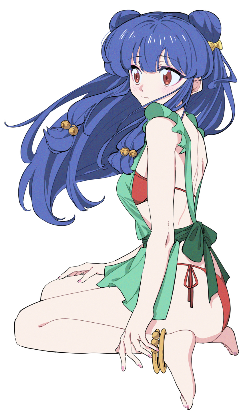 Shampoo (Ranma 1/2) Rule 34 Image