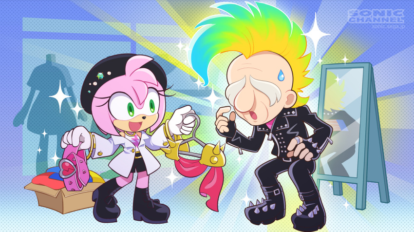 Amy Rose (Professor Pickle) Rule 34 Image