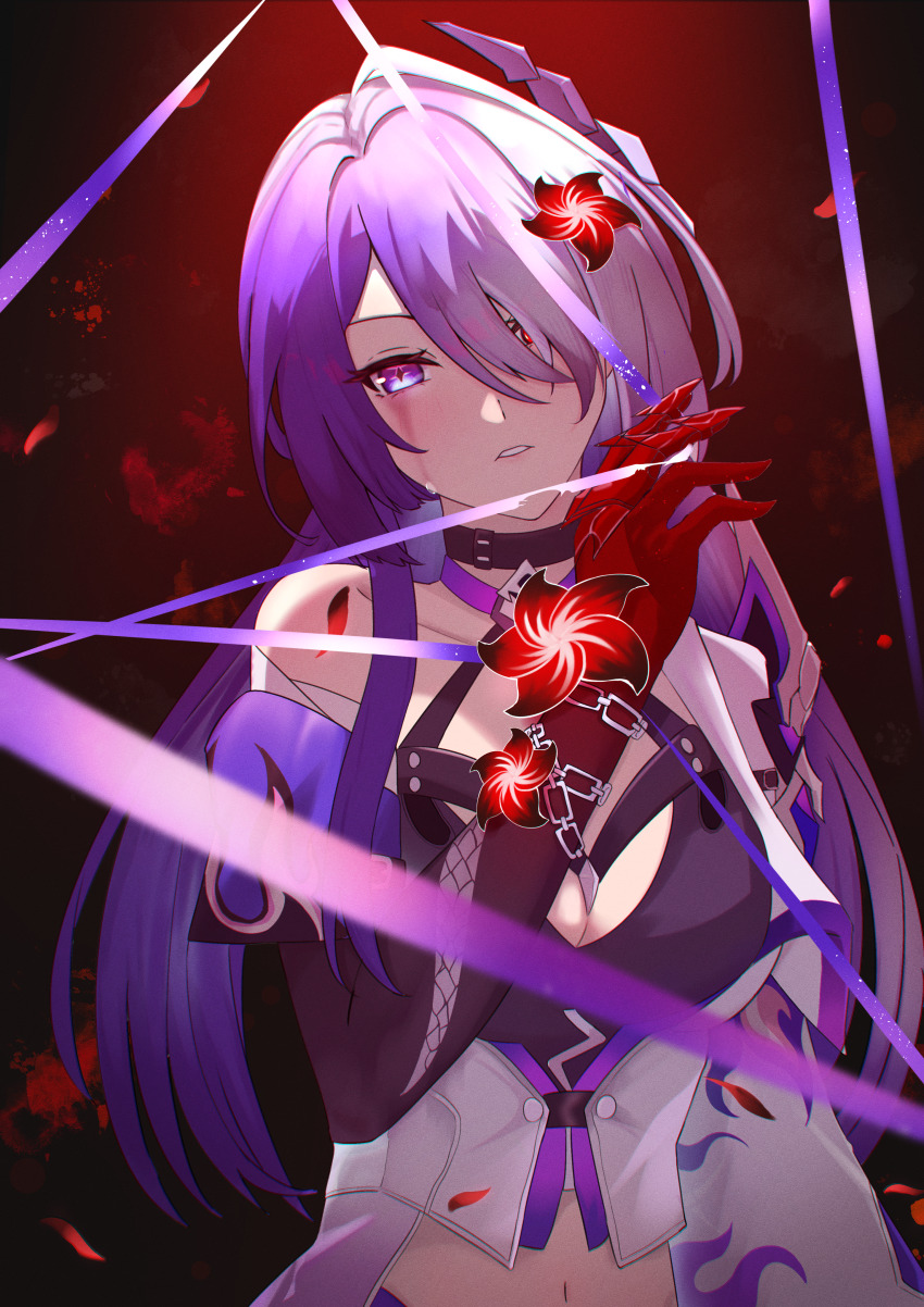 Acheron (Honkai: Star Rail) Rule 34 Image