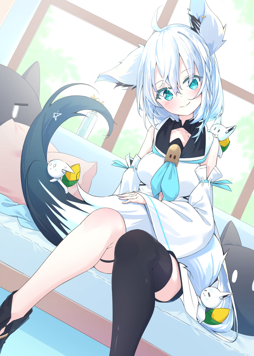 Shirakami Fubuki (Hololive) Rule 34 Image