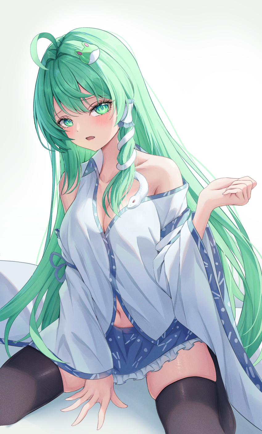 Kochiya Sanae (Touhou) Rule 34 Image