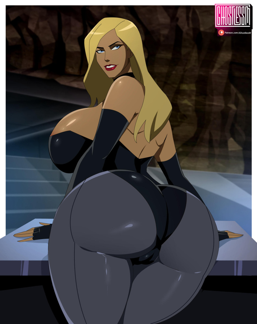 Black Canary (Dc) Rule 34 Image