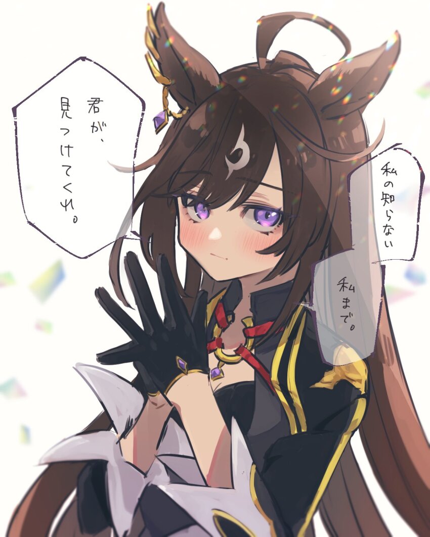 Umamusume Rule 34 Image
